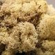 SACHET LICHEN 100G NATUREL