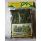 LICHEN (SACHET) VERT MOYEN