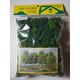 LICHEN (SACHET) VERT