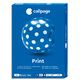 CPG R/500F CALIPAGE PRINT A4 80G CIE 161