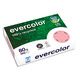 CLF R/500F EVERCOLOR 80G A4 ROSE 40003