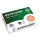 CLF R/500F EVERCOLOR 80G A4 SAUMON 40015